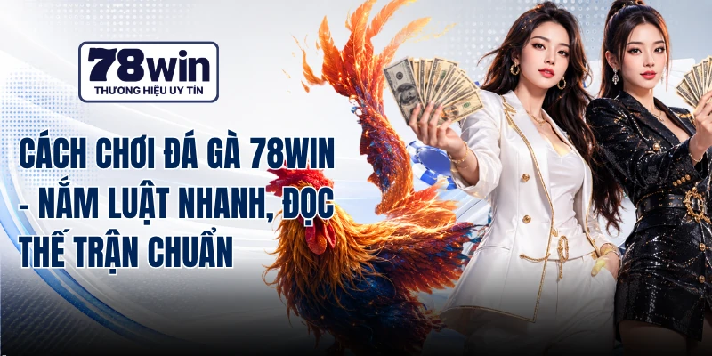 Cách Chơi Đá Gà 78WIN - Nắm Luật Nhanh, Đọc Thế Trận Chuẩn