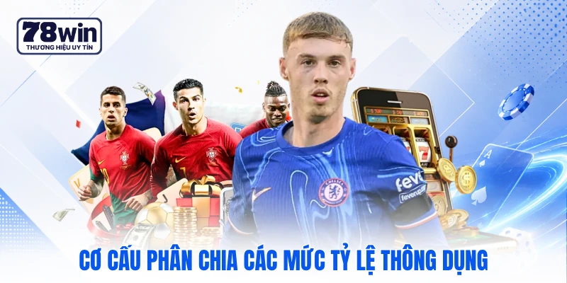 Cơ cấu phân chia các mức tỷ lệ thông dụng