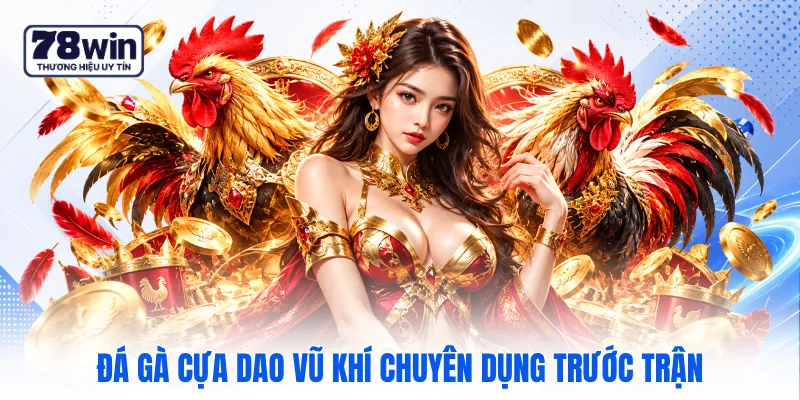 Đá gà cựa dao vũ khí chuyên dụng trước trận