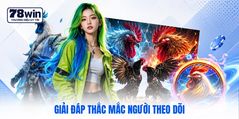 Giải đáp thắc mắc người theo dõi
