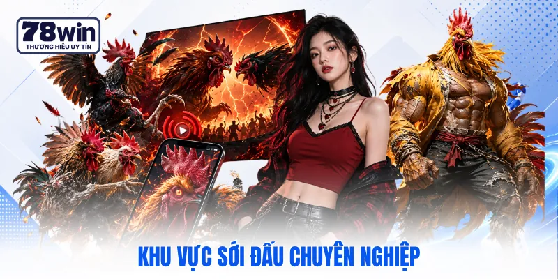 Khu vực sới đấu chuyên nghiệp