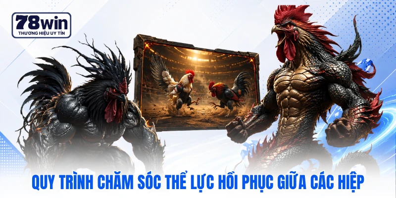 Quy trình chăm sóc thể lực hồi phục giữa các hiệp
